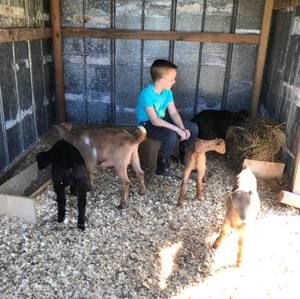 Meet your Posher, Heather